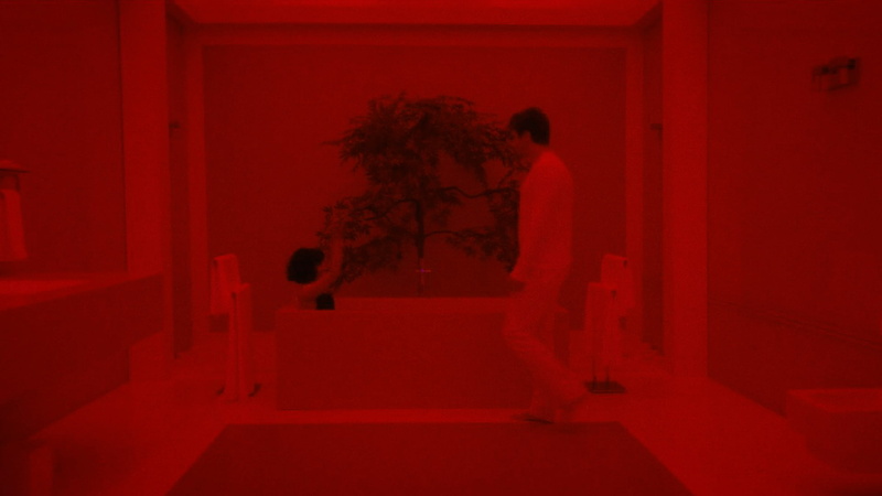 door, Legion FX, one person, unrecognizable person, celebrity, night, plant, staircase, entrance, tree, shadow, red, nature, Aubrey Plaza, walking, spooky