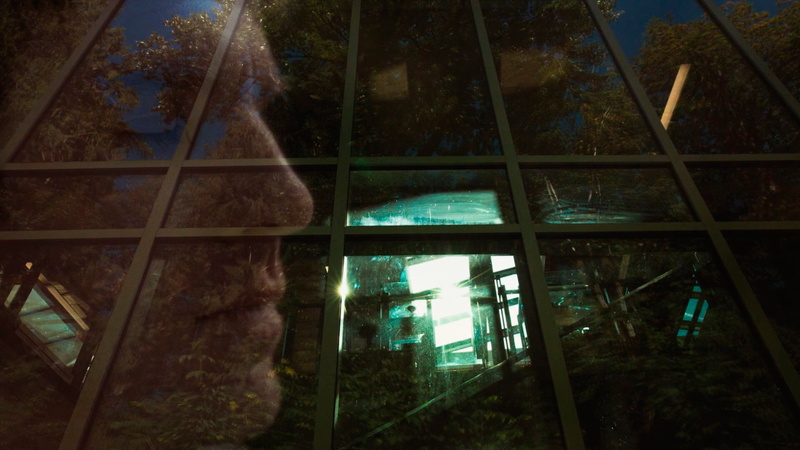 transparent, building, plant, sunbeam, 1080P, low angle view, celebrity, illuminated, outdoors, growth, sunlight, day, architecture, Dan Stevens, glass - material