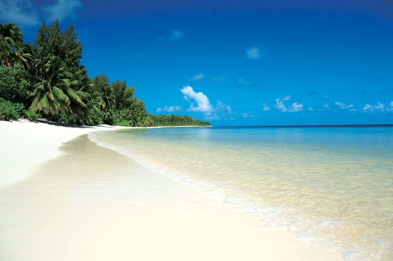 travel Destinations, tourism, maldives, scenics, plant, tropics, journey, coastline, tourist Resort, island, white, bay Of Water, tropical Climate, tree