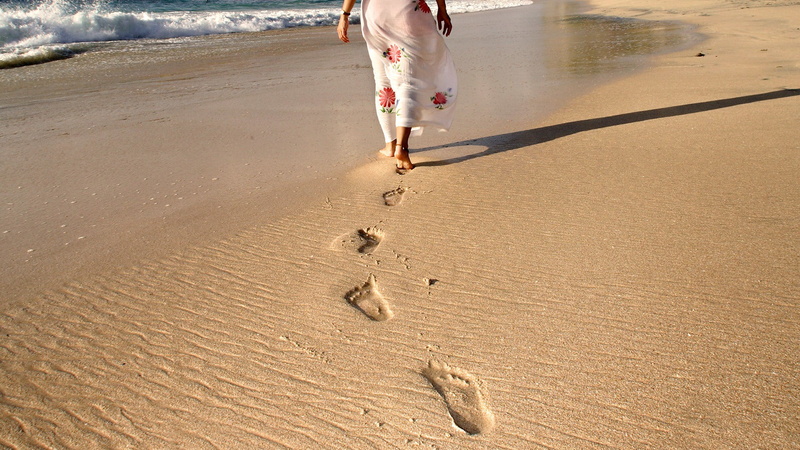 nature, walking, footprint, one animal, s, outdoors, women, body part, mammal, 1080P, domestic animals, red, domestic, low section, sand, running, people