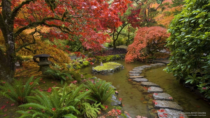 columbia, 2K, gardens, british, butchart, autumn, Flowers/Gardens