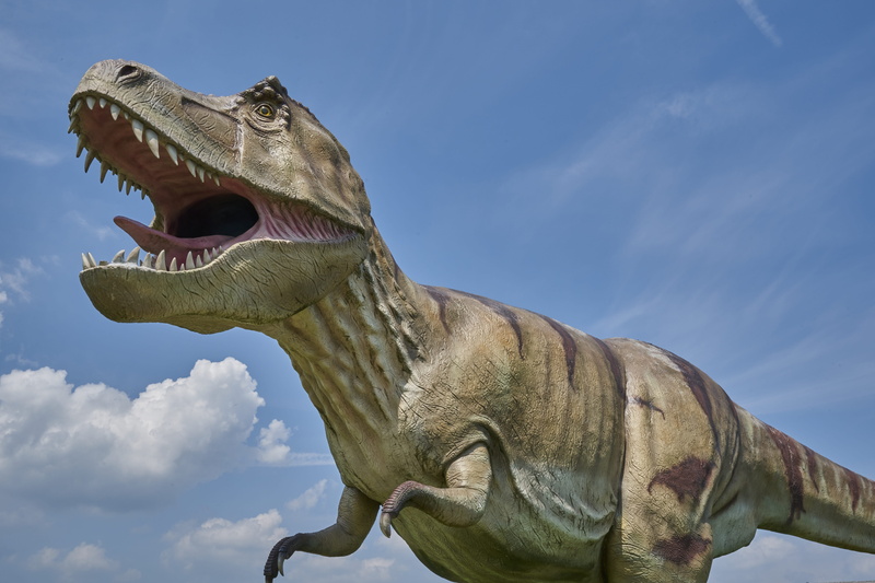 animal body part, rex, tyrannosaurus, 5K, sky, mouth open, statue, mouth, prehistoric, animal representation, art and craft, sculpture, carnivores, cloud - sky