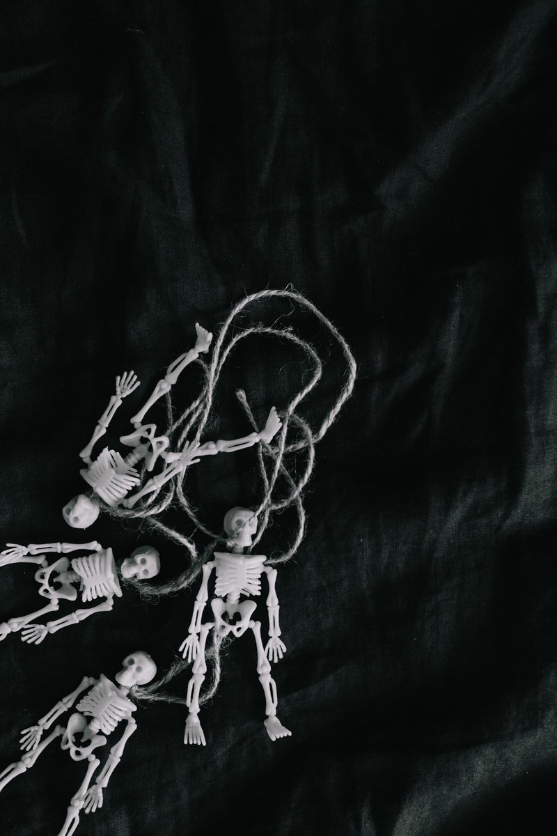 human skeleton, fear, toy, blackboard, night, close-up, halloween, bones, trick or treat, indoors, celebration, still life, anatomy, skull, biology, no people