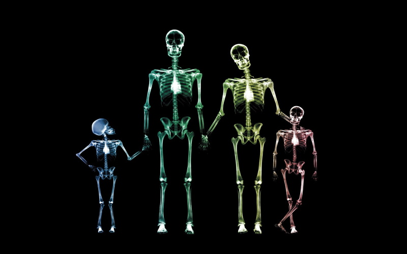 anatomy, the Human Body, people, skeletons, 1080P, males, black Color, black Background, science, representation, cut out, robot, family, body, biology