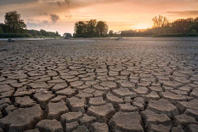 landscape, plant, climate, nature, sky, tranquility, scenics - nature, no people, 5K, lack of water, dehydrated, tranquil scene, cracks, dry, mud, tree