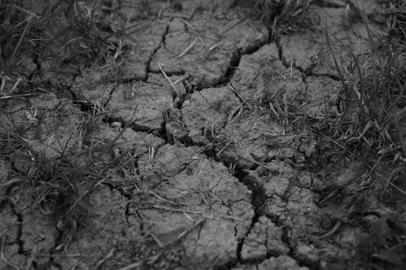 brittle, Drought, day, close-up, backgrounds, Cracks, high angle view, 4K, plant, nature, lack of rain, parching, arid climate, land, Dehydrated, rugged