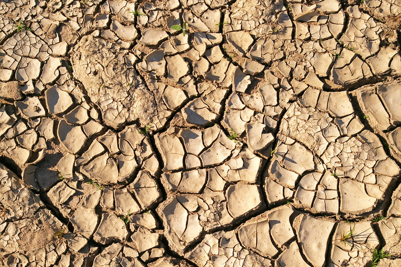clay soil, dry, environmental issues, mud, backgrounds, land, field, barren, shriveled from, scenics - nature, texture, climate, environment, ground, outdoors