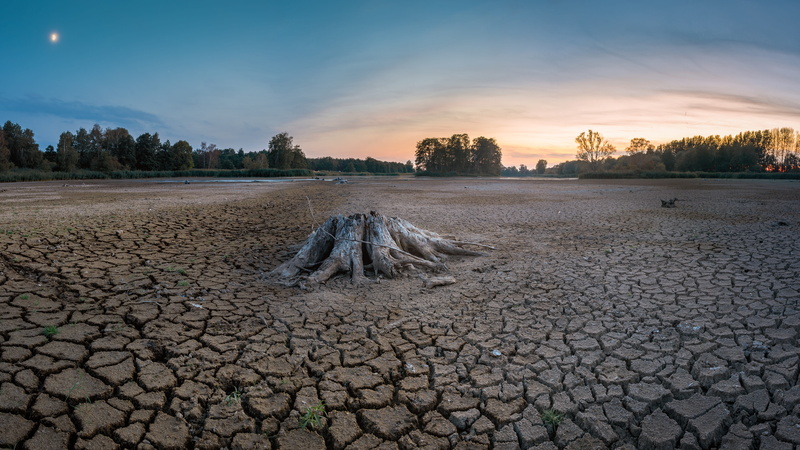 no people, arid climate, dry, nature, 8K, root, weathered, old, tree, outdoors, landscape, sunset, day, field, plant, non-urban scene, beauty in nature