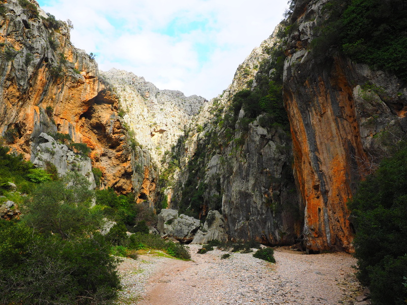 eroded, plants, Torrent, cliff, sky, plant, Riverbed, remote, rock formation, leafed, solid, tranquility, torrent pareis, physical geography, tranquil scene