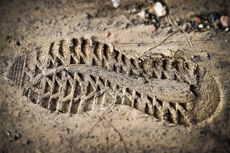 animals in the wild, one animal, extinct, profile, step, reprint, dirt, sole, soil, shoe, close-up, ground, nature, clay, footprint, clay soil, sand, mud