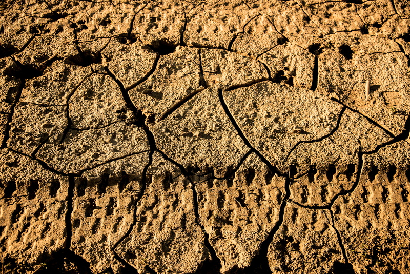 broken, earth, cracked, soil, nature, 5K, close-up, footprints, drought, climate, land, dry, full frame, sunlight, mud, cracks, quartered, high angle view