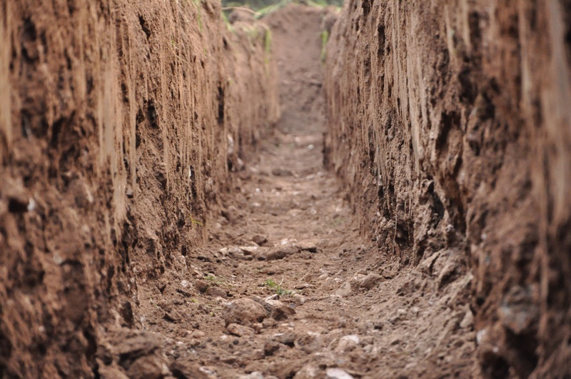 clay, the way forward, cultivation, trunk, forest, selective focus, direction, tranquility, footpath, dirt road, dirt, earth, tree trunk, growth, land