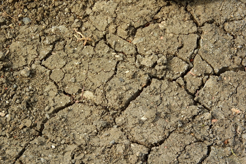 nature, pattern, mud, agriculture, dry soil, the dry ground, 4K, backgrounds, barren, climate, scenics - nature, day, outdoors, cracks in the earth, environmental issues