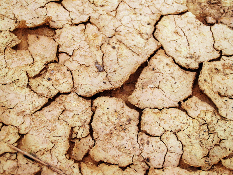 daylight, dry, arid climate, dried, dirt, nature, mud, land, erosion, close-up, pattern, scenics - nature, rough, climate, 2K, field, clay, sunlight, textured