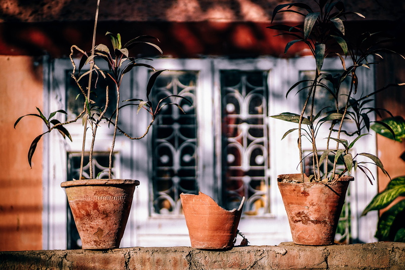 close-up, metal, potted plant, idyllic, window, tropic, water, plant, building exterior, pots, nobody, tropical, pottery, clay, vacation, broken, patio