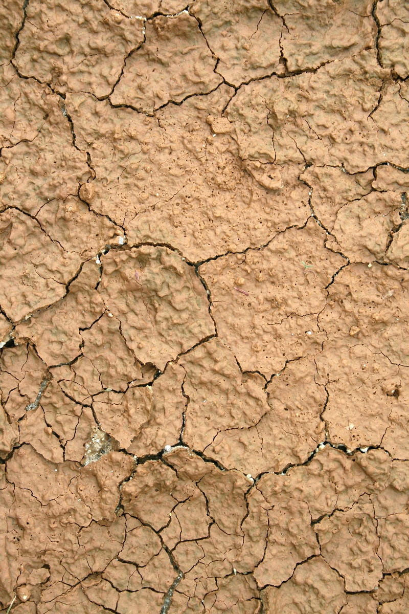 surface, extreme terrain, land, structure, background, cracked, outdoors, arid climate, no people, Soil, natural pattern, sample, textured, Drought, dirt
