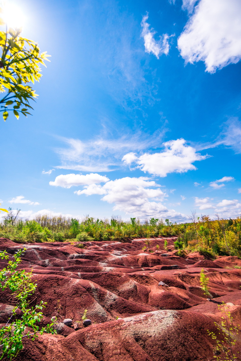 ground, blue, non-urban scene, vegetation, tree, plant, outdoors, badlands, environment, tranquil scene, field, sunlight, land, tranquility, soil, canada