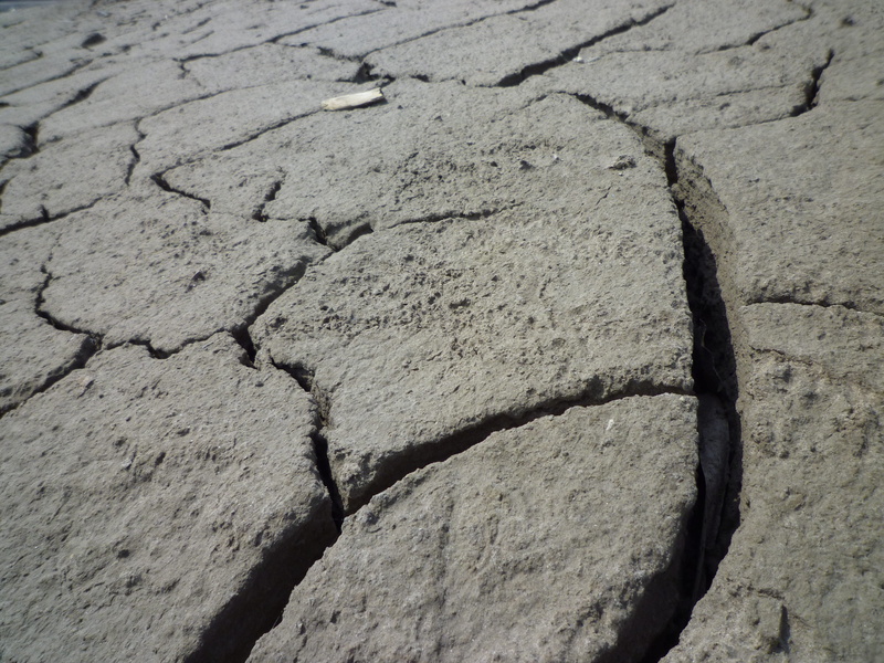 outdoors, climate, barren, cracked, day, clay soil, pattern, textured, Dry, 4K, full frame, Dehydrated, Drought, scenics - nature, arid climate, land