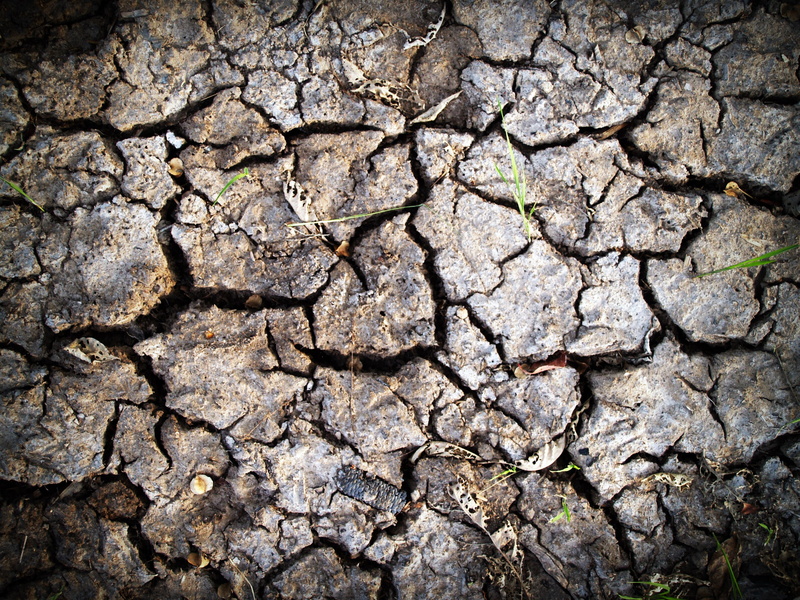 full frame, landscape, geology, climate, nature, textured, textured effect, no people, land, soil, grass, close-up, outdoors, cracked, scenics - nature