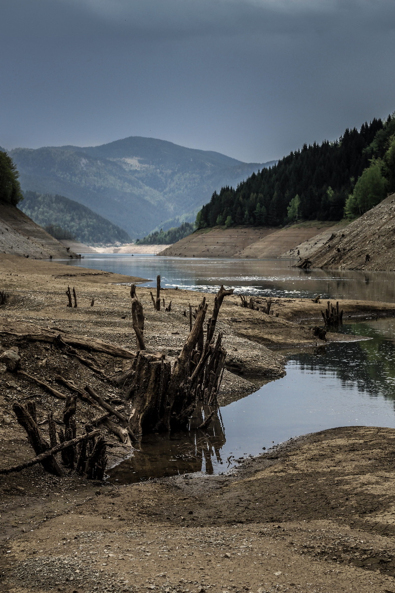 riverbed, serbia, mountain, tranquility, 4K, mokra gora, day, devastation, outdoor, lake, reflection, hills, wood, tree, scenics - nature, environment