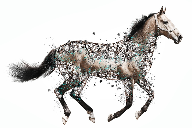 white background, black color, devastated, mare, black, copy space, representation, creativity, paint, photo art, animal, abstract, close-up, speed, splashing
