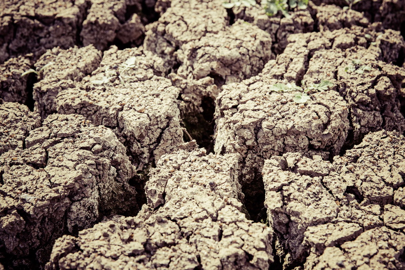 pattern, textured, full frame, arid climate, barren, drought, 4K, dry, climate, ground, sunlight, soil, desertification, no people, dirt, rough, degradation