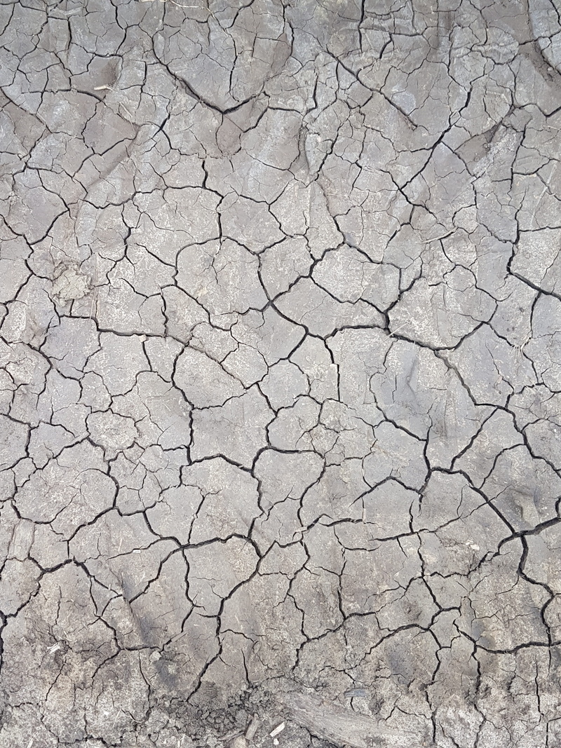drought, land, barren, floor, quartered, moisture, soil, scenics - nature, earth, textured, textures, cracks, climate, full frame, extreme terrain, environmental issues