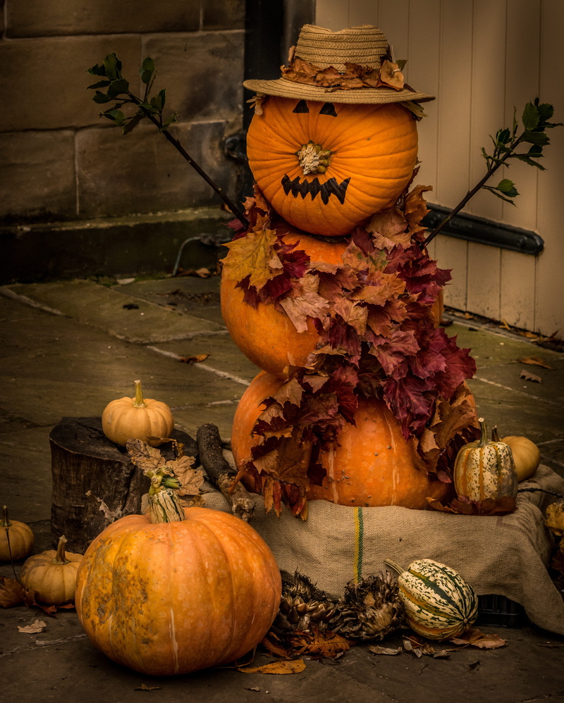 scary, holiday - event, monster, seasonal, spooky, food, vegetable, pumpkin, celebration, leaf, food and drink, freshness, plant, wood - material, still life