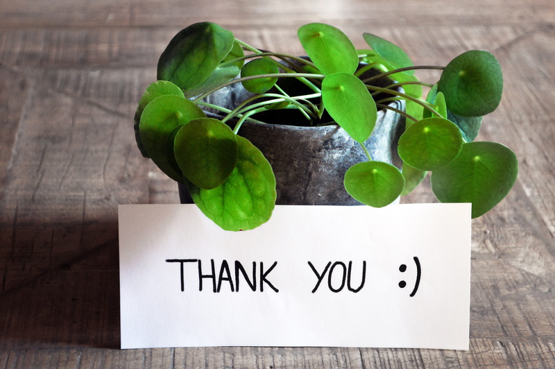 green color, freshness, post, nature, feedback, wellbeing, wooden table, thank you card, text, indoors, 5K, smiley, greeting card, greeting, food and drink