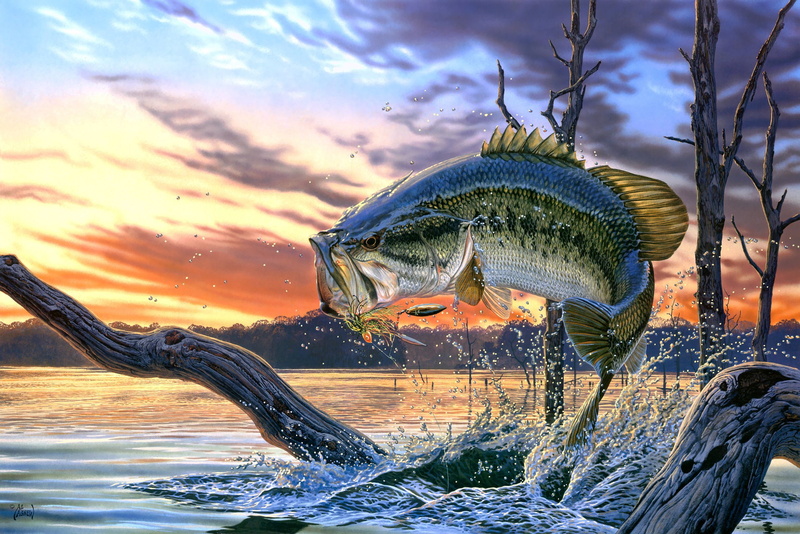 large, sky, animal themes, animal wildlife, perch, no people, close-up, cloud - sky, animal, animal representation, water, reptile, freshwater, gray, Al Agnew