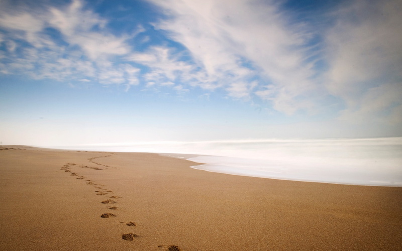 landscape, scenics - nature, sky, arid climate, footprint, 2K, tranquility, outdoors, desert, horizon, sea, footprints, cloud - sky, sand, clouds, environment