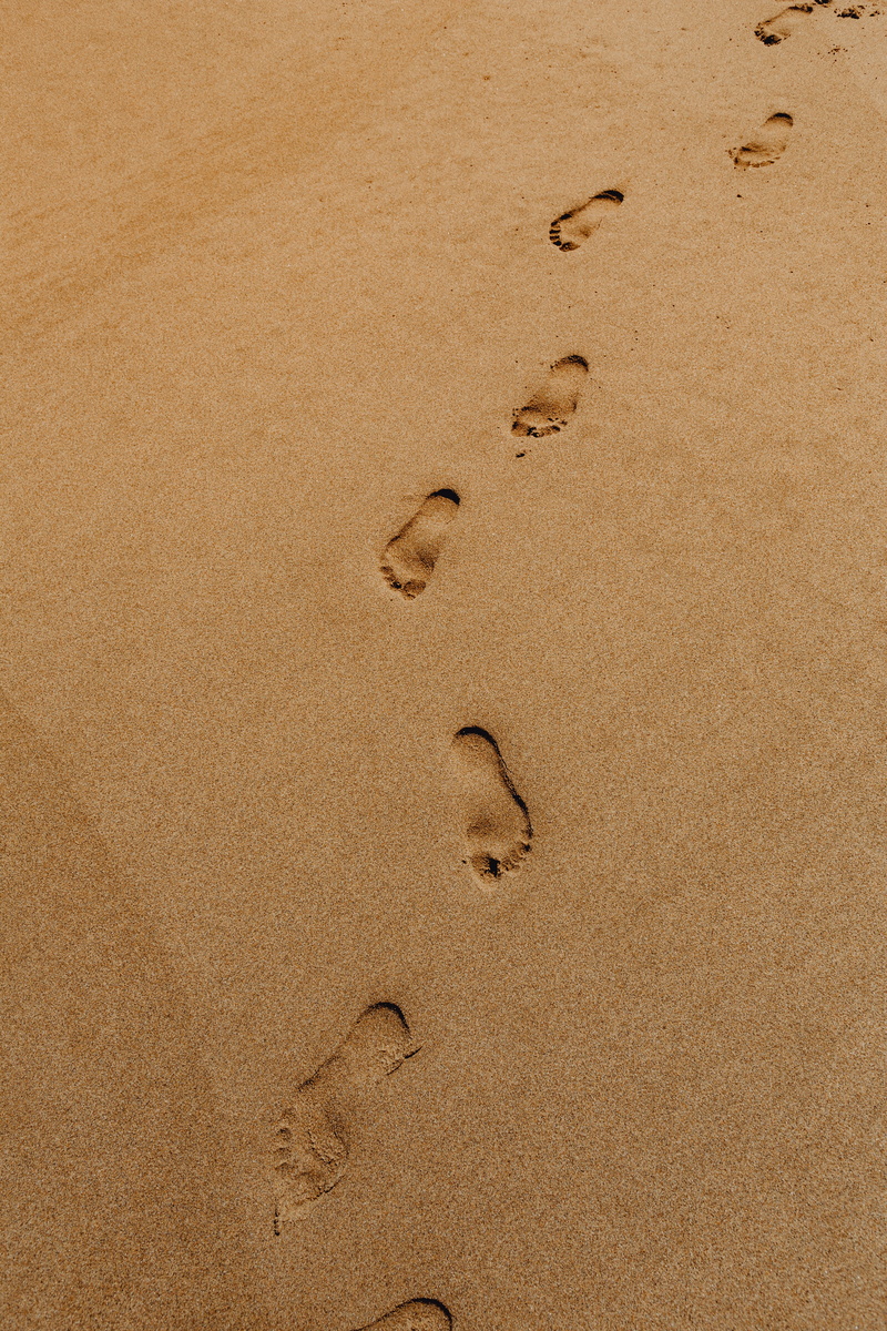 ocean, day, Europe, track - imprint, algarve, land, print, animal track, shore, paw print, foot, pattern, beach, wet, portugal, mystery, footprint, summer