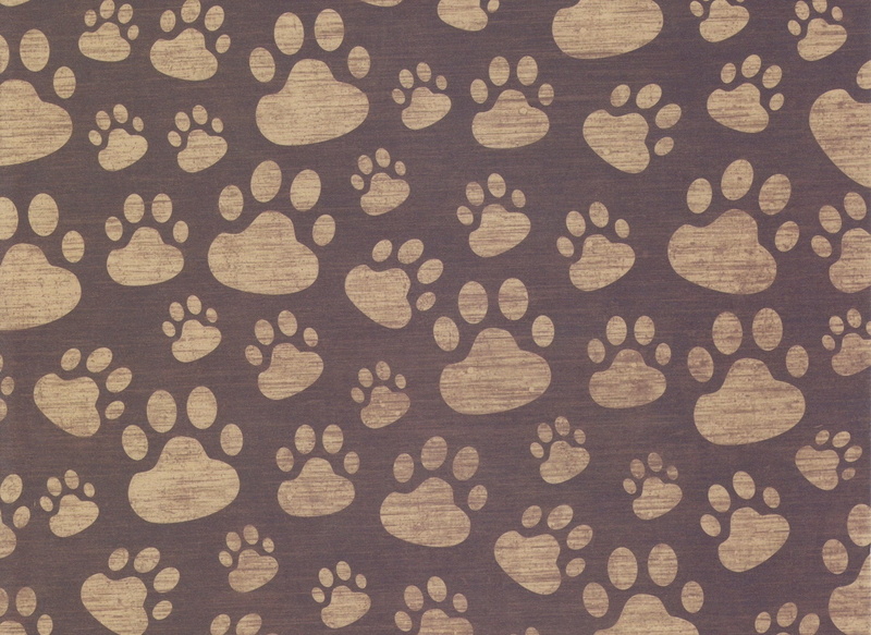 footprints, backdrop, decoration, nature, no People, day, wood - material, old, material, 1080P, old-fashioned, textured Effect, full frame, surface, floral pattern