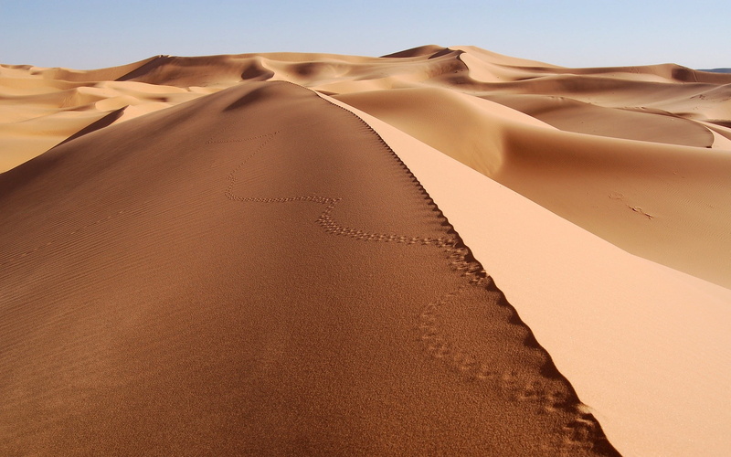 1080P, footprints, dune, desert, sand, landscape, nature