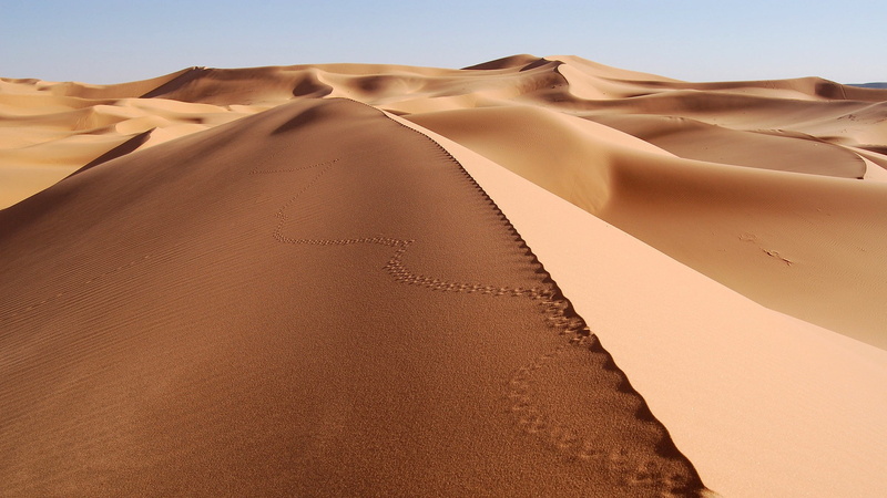 nature, footprints, 1080P
