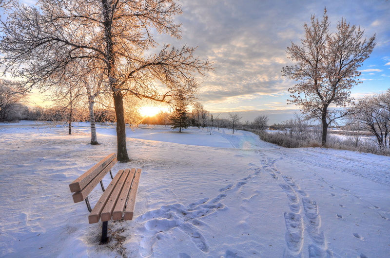 scenics - nature, frost, dawn, day, sky, environment, footpath, field, branch, ice, beauty In Nature, tree, frozen, nature, snowcapped mountain, street