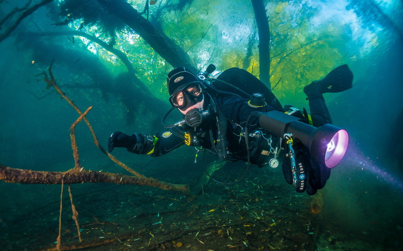 a scuba diver, driftwood, diver, surface, 1080P, under water, scuba, light