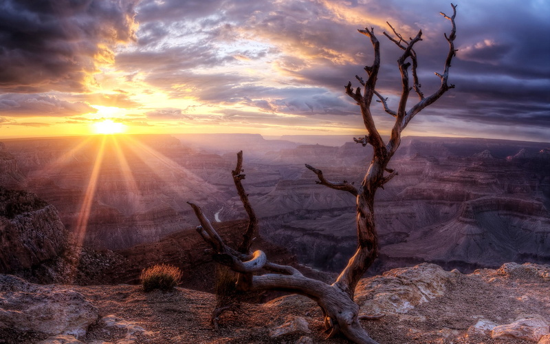 canyon, sun, land, environment, arid climate, tranquil scene, 1080P, HDR, driftwood, cliff, idyllic, clouds, sunlight, trees, nature, dead plant, sky