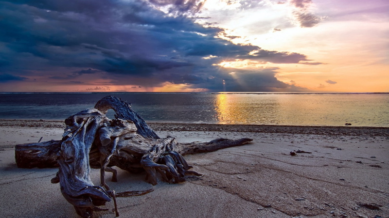 outdoors, sunset, beach, cloud - sky, wood, 1080P, sand, tranquility, tranquil scene, driftwood, horizon, orange color, idyllic, land, nature, sky, scenics - nature
