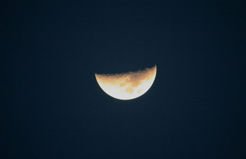 evening, 2K, half moon, sky, tranquility, blue, planetary Moon, night, nature, beauty in nature, shining, tranquil scene, astronomy, astrology, clear sky