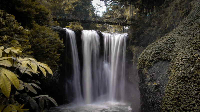 motion, land, rock - object, beauty in nature, rainforest, tree, water, power in nature, forest, indonesia, maribaya, nature, plant, outdoors, 4K, flowing water