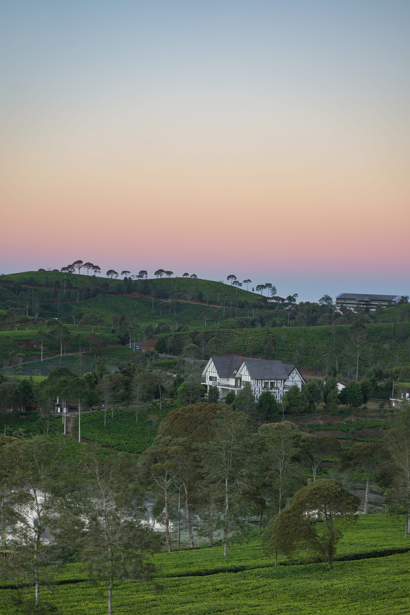 landscape, land, cukul, tranquil scene, tranquility, outdoors, environment, agriculture, minimal, house, grass, green color, tree, architecture, 5K, sunset