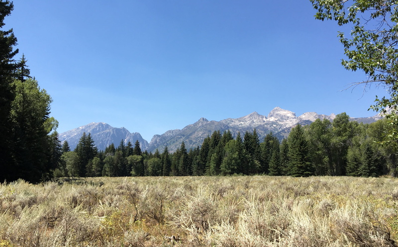 jackson, land, plant, clear sky, coniferous tree, sky, visitor center, scenics - nature, mountains, non-urban scene, prairie, beauty in nature, 2K, 2018 eclipse