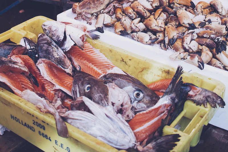 fish market, wellbeing, for sale, dead, eyes, fish, retail display, pink, market, salmon, 2K, smelly, fresh, flesh, catch, crabs, market stall, animal
