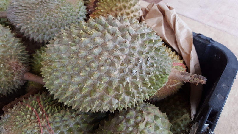 vitamin, green, outdoors, season, hand, smelly, holding, white, tasty, human hand, freshness, close-up, southeast, dessert, thong, nutrition, high angle view