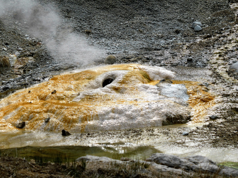 motion, geyser, power in nature, splashing, hot, rock, 4K, beauty in nature, non, flowing, steam, sea, no people, hot well, fog, sulfur, animal wildlife