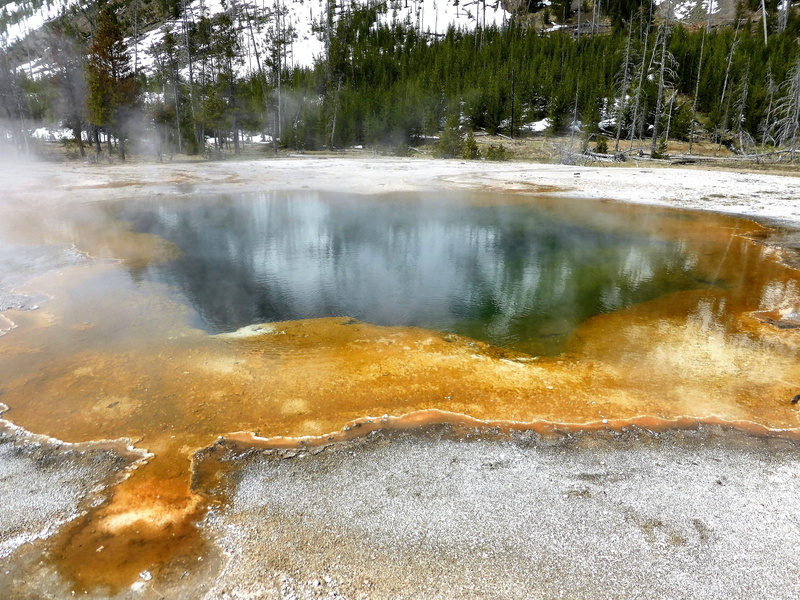 tranquil scene, scenics - nature, tree, steam, physical geography, nature, power in nature, 4K, plant, hot spring, tranquility, geology, National Park