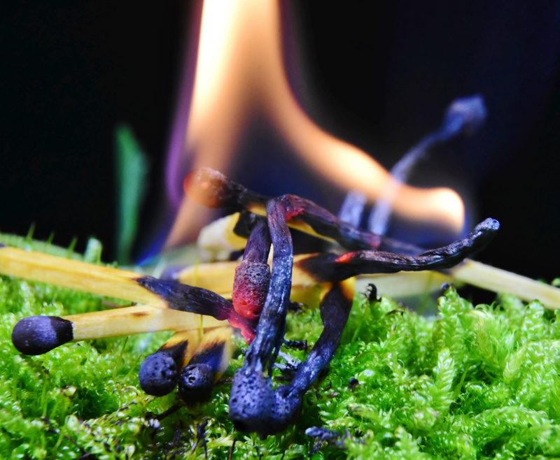 match, black, close-up, ignition, heat, nature, focus on foreground, 2K, melting, food and drink, forest fire, food, matchstick, heat - temperature, burning