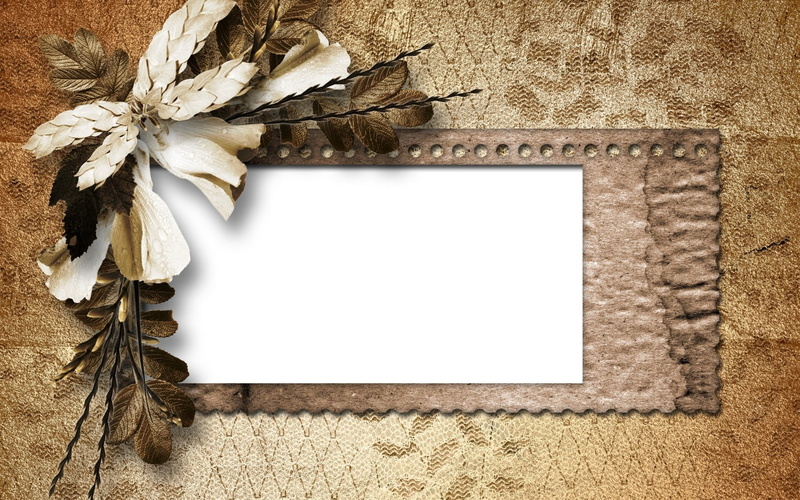 plant, nature, old, close-up, 720P, decoration, wooden, petals, retro, frame, message, empty, photo, copy Space, backgrounds, no People, table, autumn