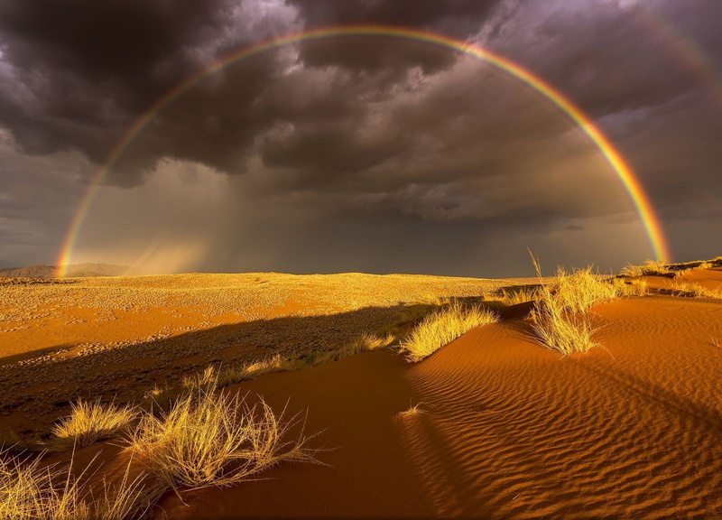 sunlight, 720P, photography, climate, outdoors, sand, nature, tranquility, clouds, desert, rainbows, no people, fish, dark, storm, cloud - sky, idyllic
